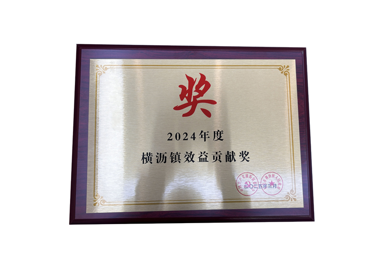 2024年度橫瀝鎮(zhèn)效益貢獻(xiàn)獎(jiǎng)